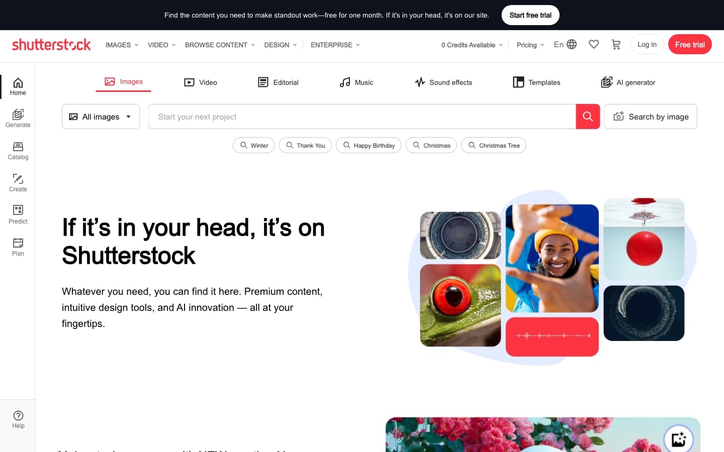 Shutterstock